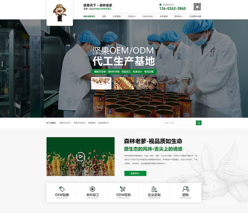 從深圳到漳州 開心果代工營銷型網(wǎng)站建設(shè)案例解析